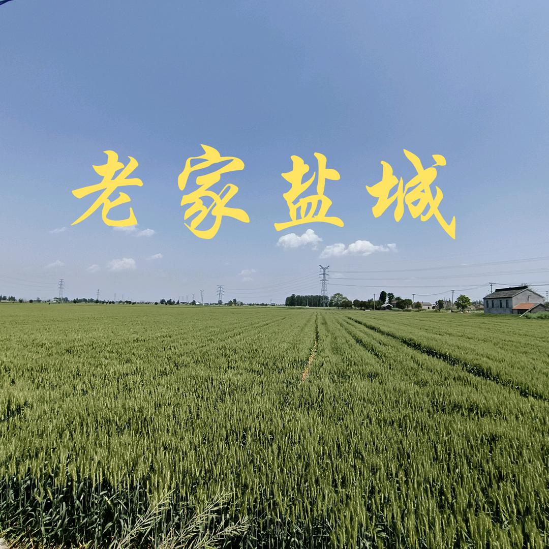 鸡毛飞上天