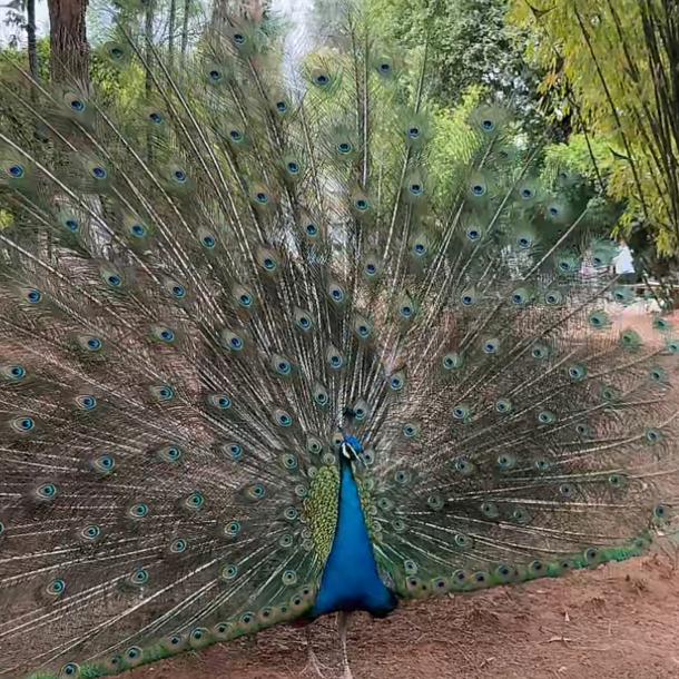 为自己而活