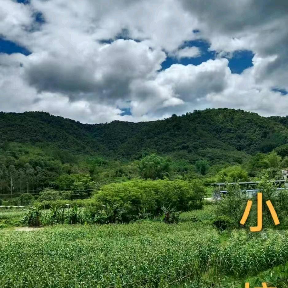 小校