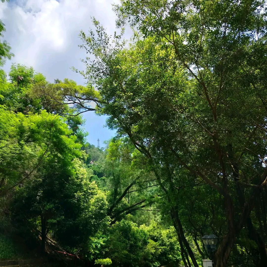 使然