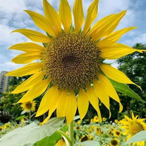 渐思践行话教育