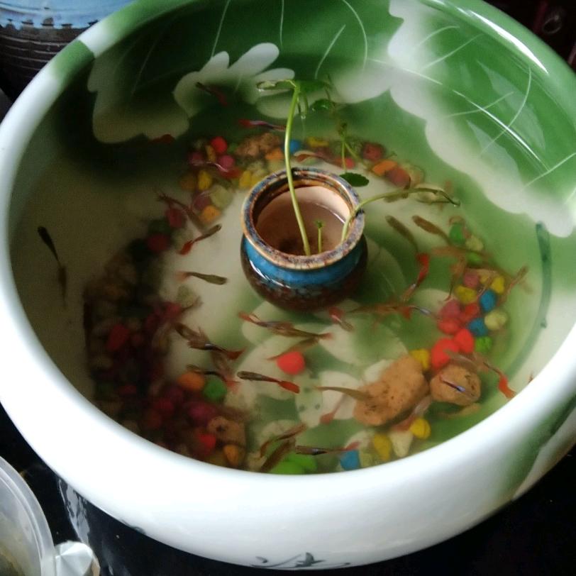 百合