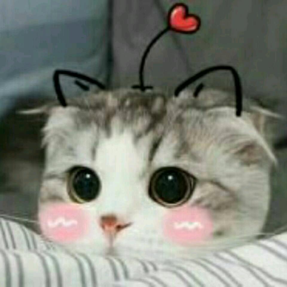 qzuser