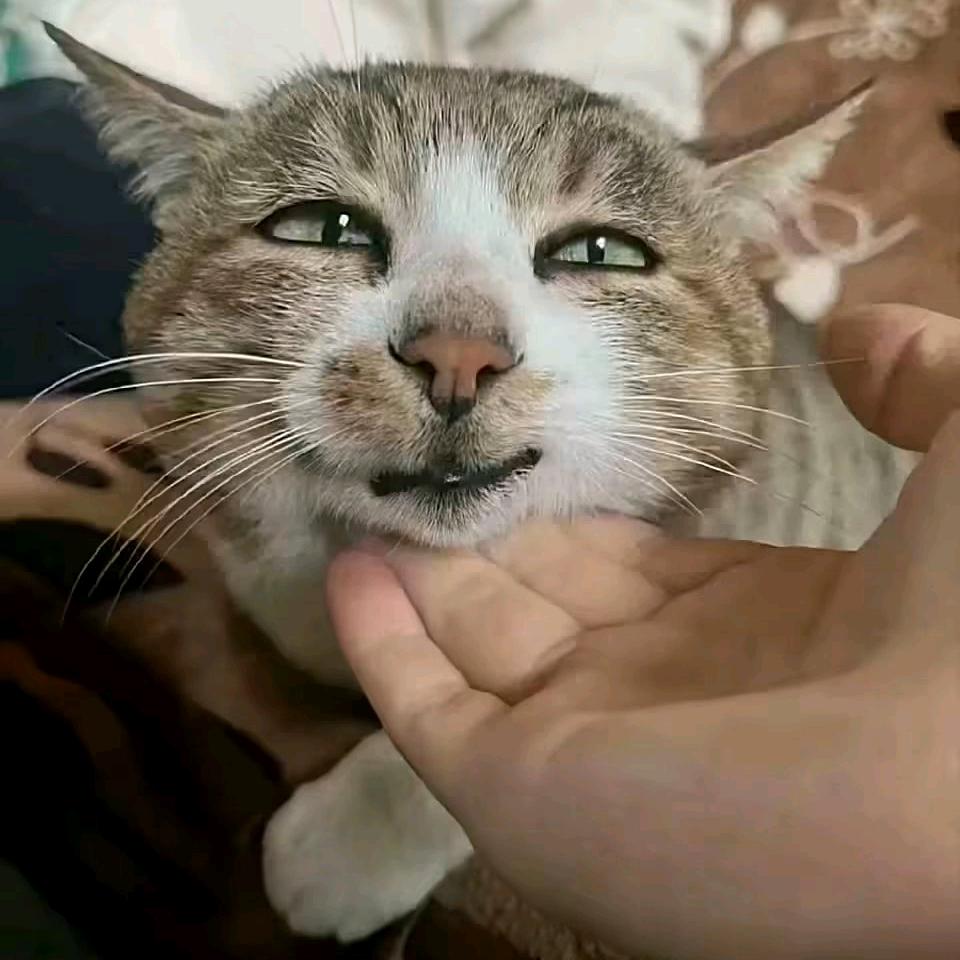 重来一次