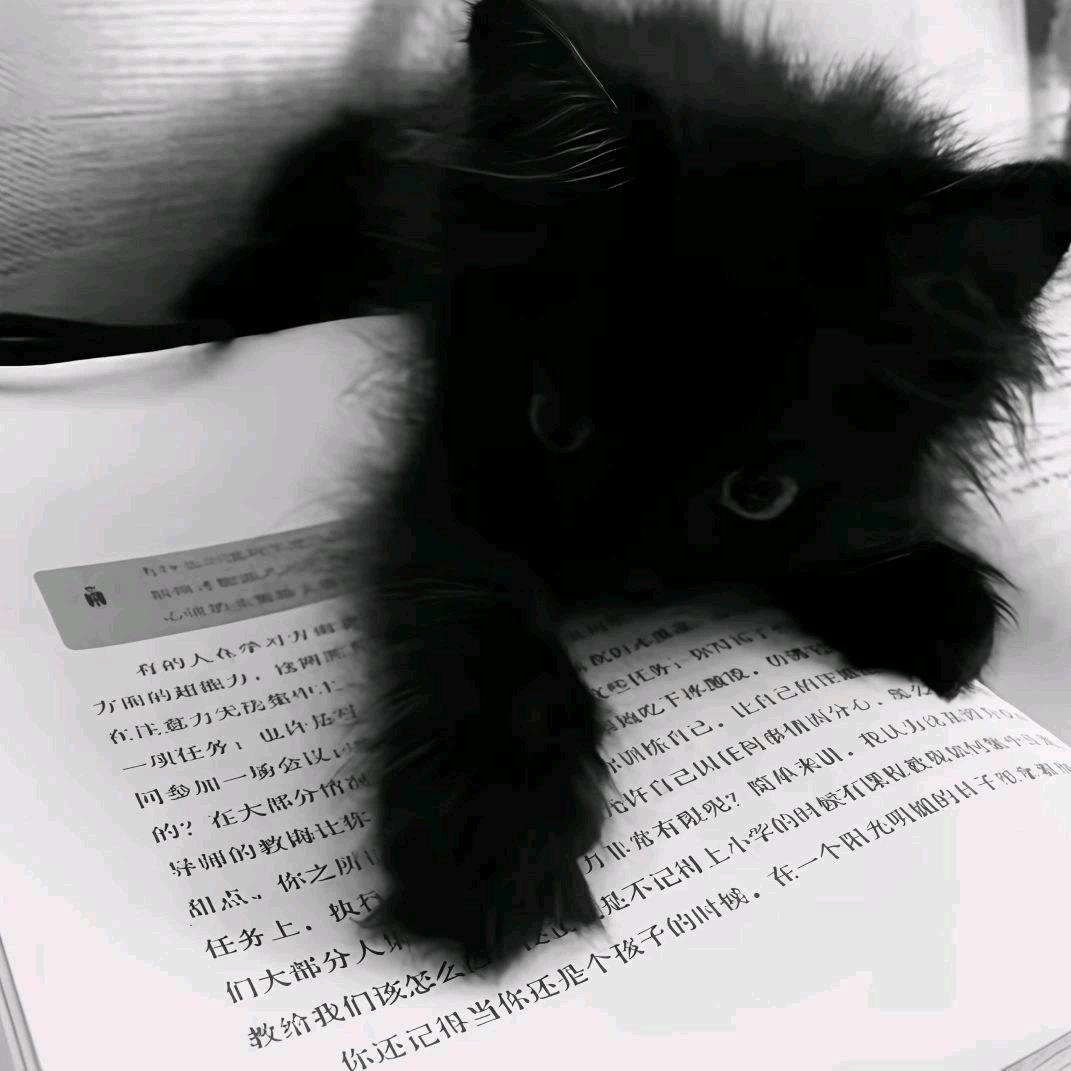 甲同学