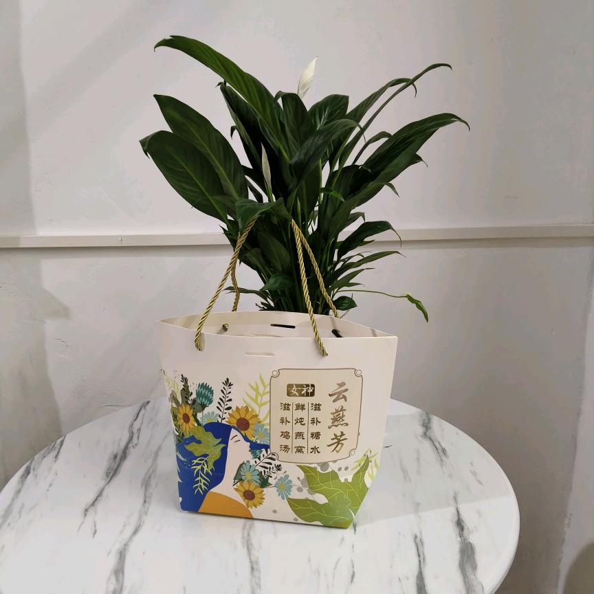 东莞市大朗云燕芳炖品店（个体工商户）