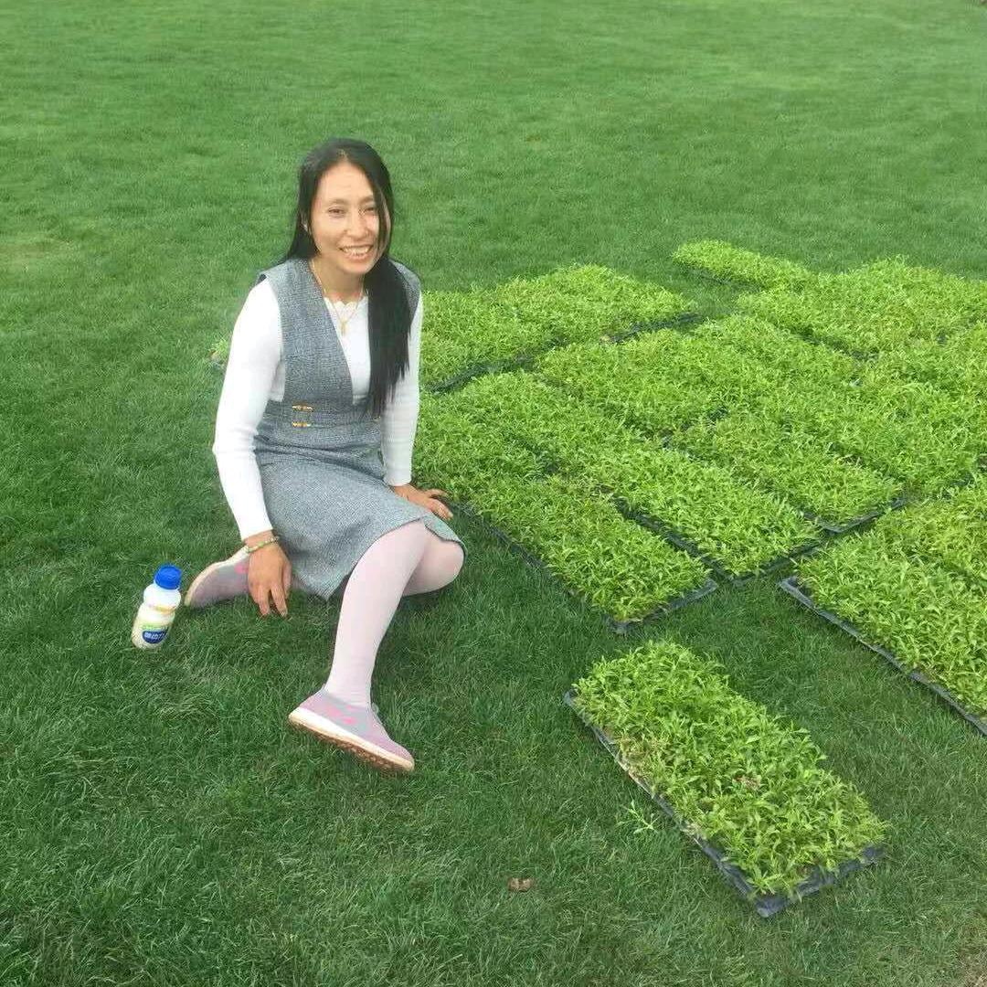 人的名，树的影