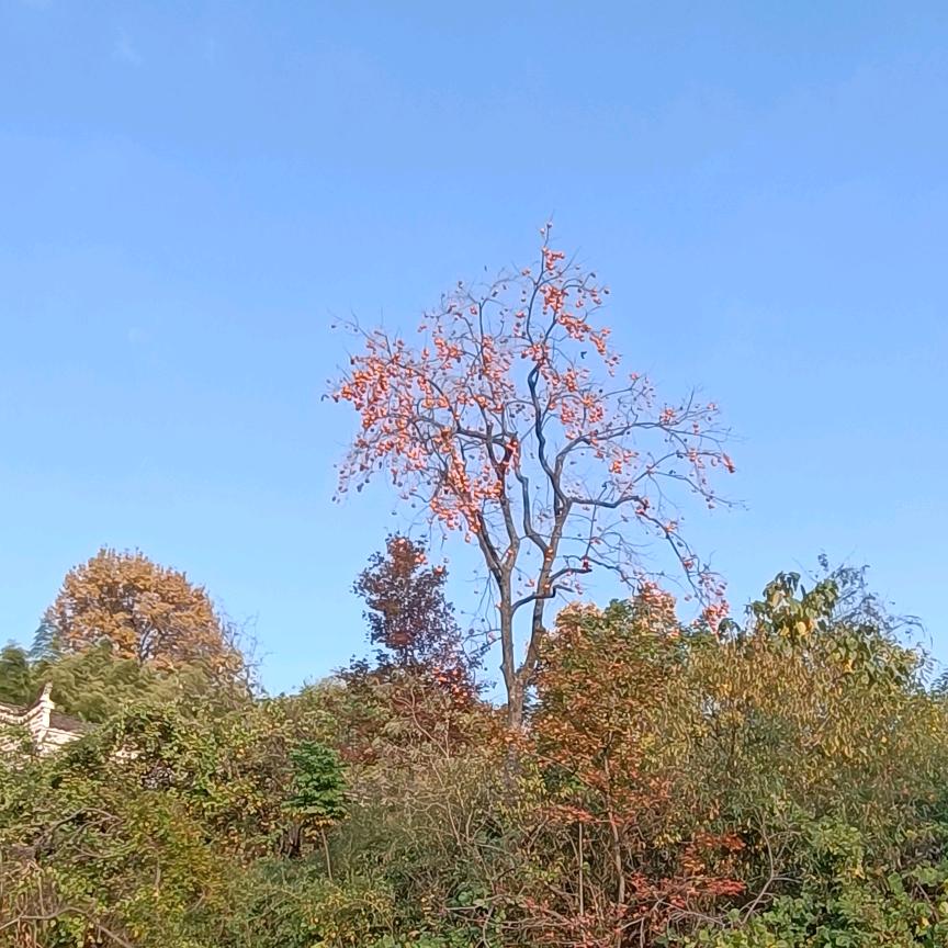 男人要会讲故事