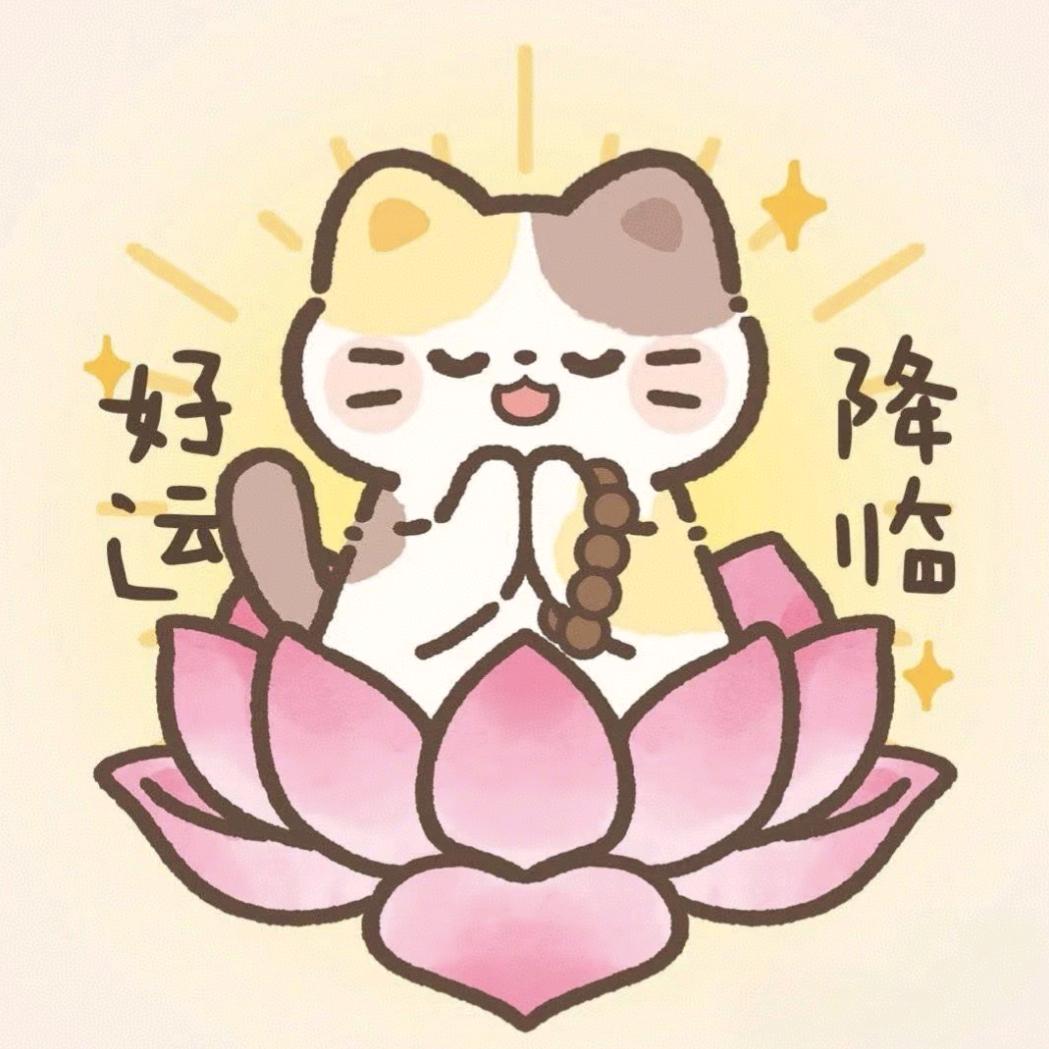 yyyyyy
