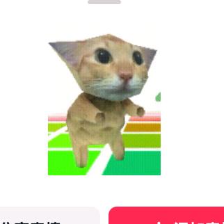 喵喵喵性感小眼猫