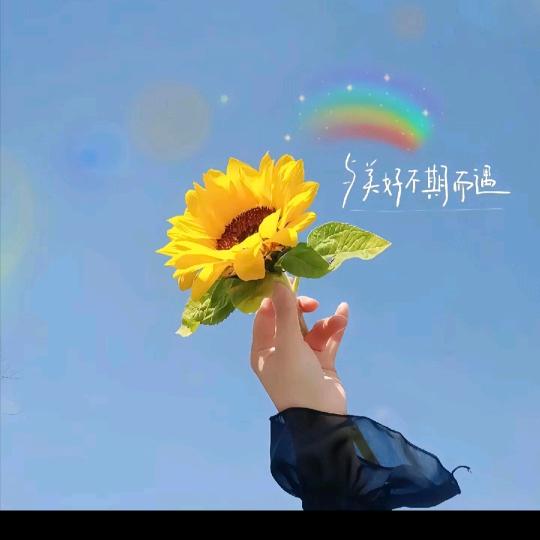 生活像棒棒糖甜