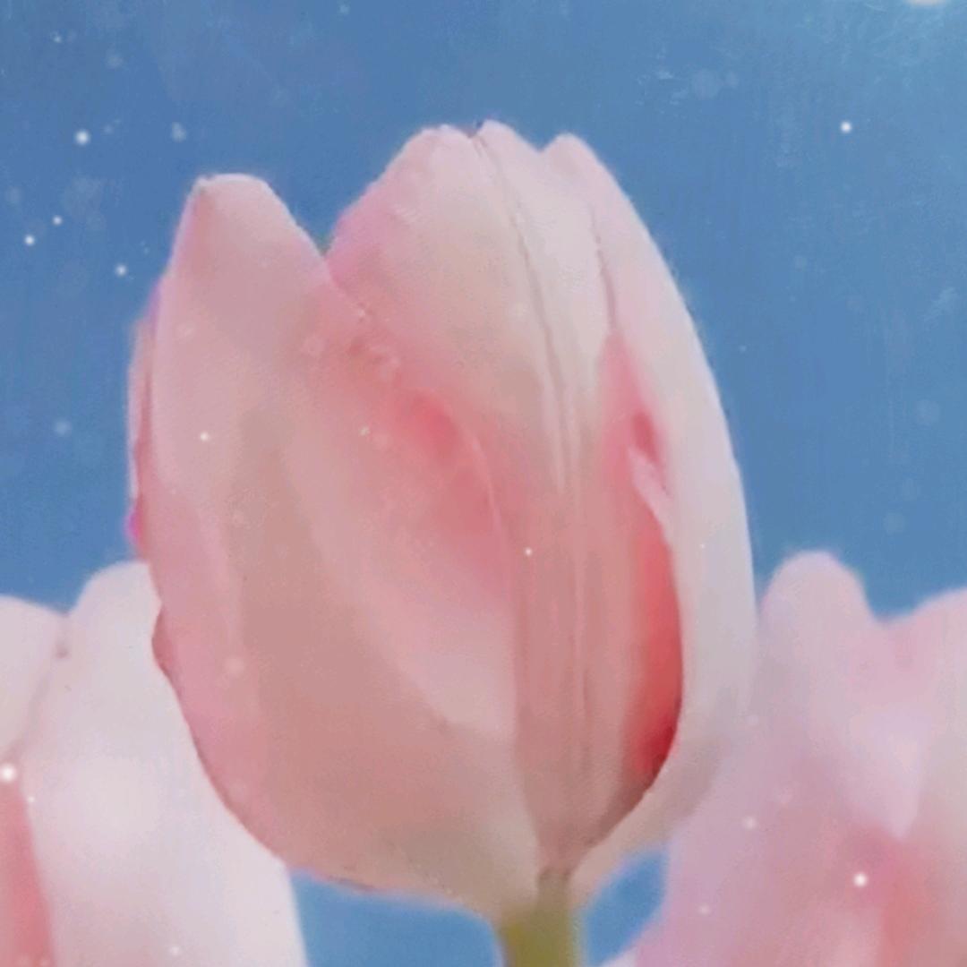 亚联明百货店爆爆