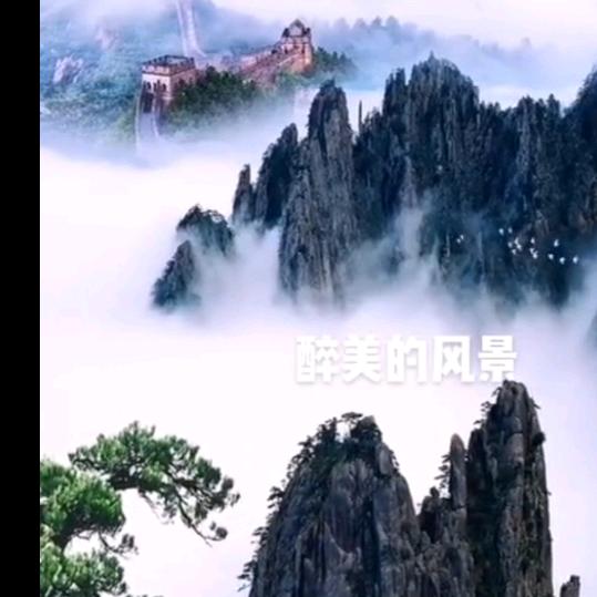 追星赶月