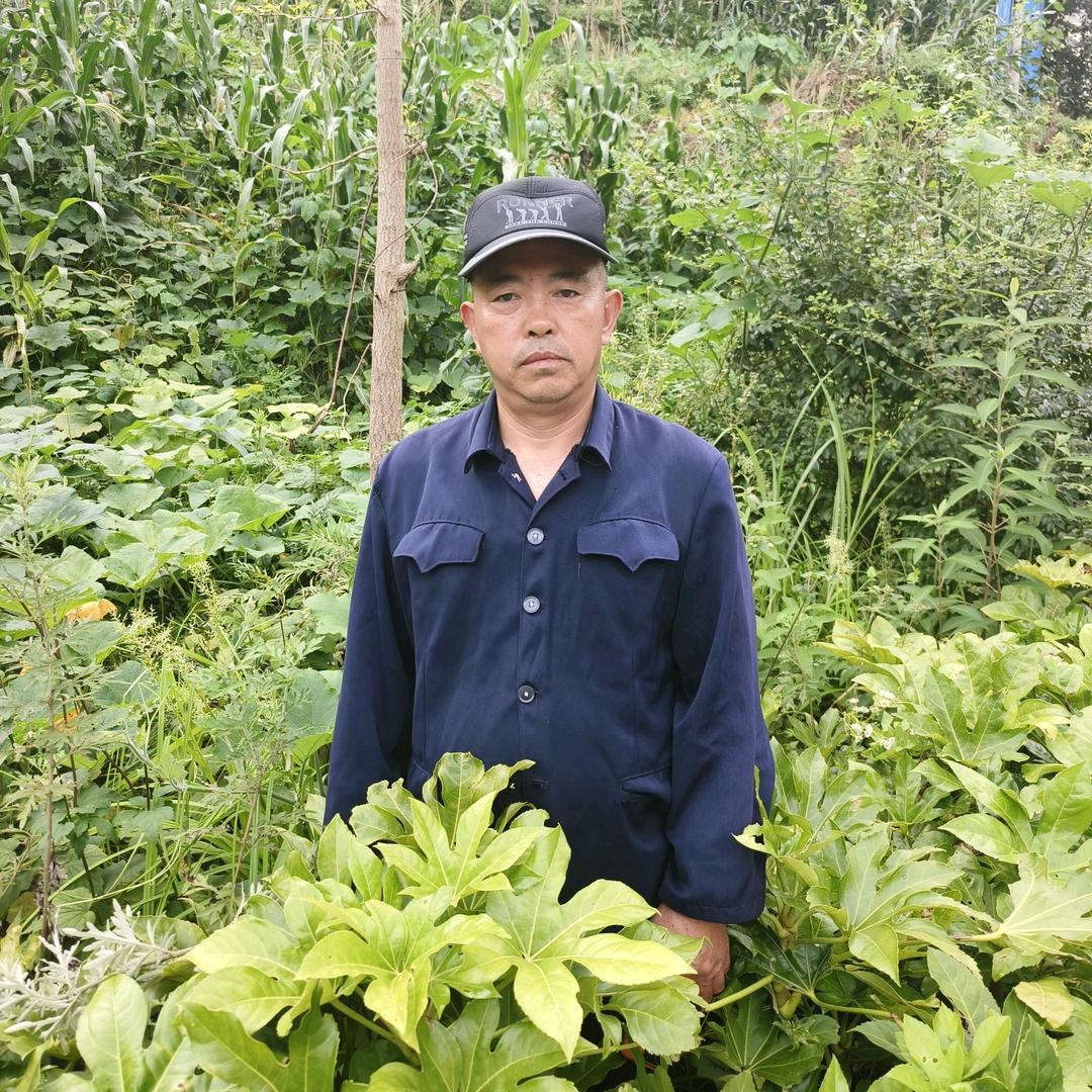 姜哥哥《开播时间下午5点半》