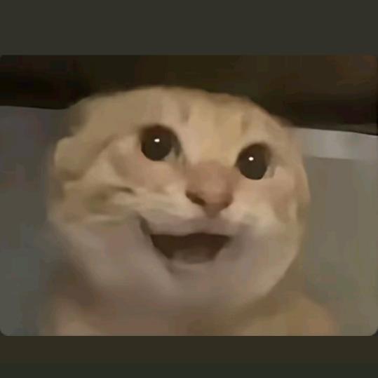 許