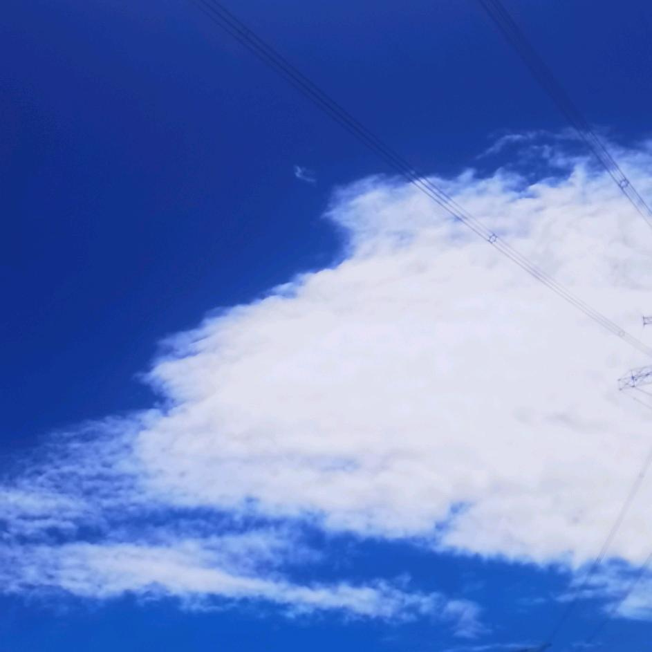 青崖落林