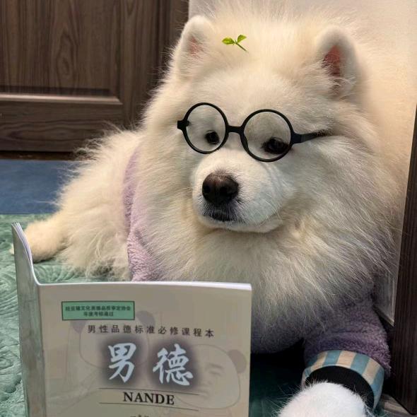 君宠