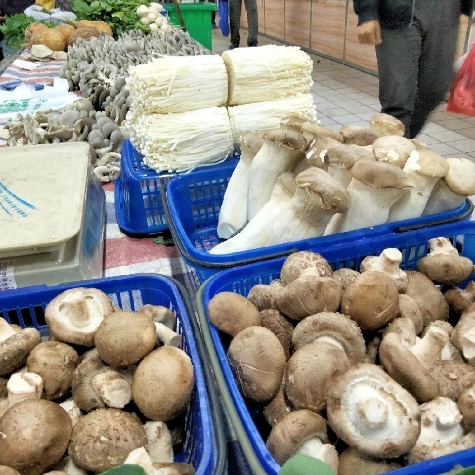 平菇(菌菇)农产品(搬运专家)