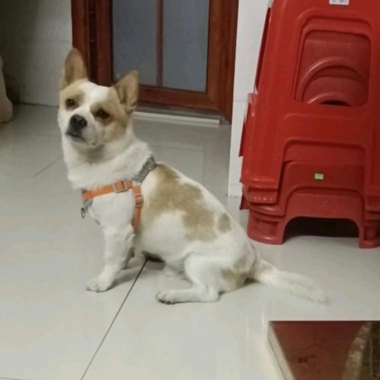 遇见是缘