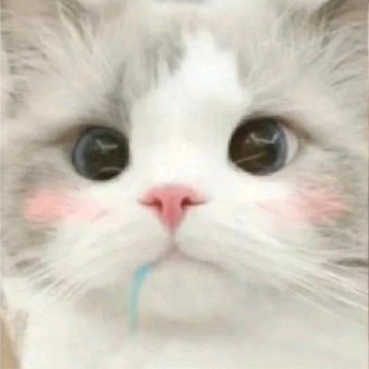 小璇璇璇⁻