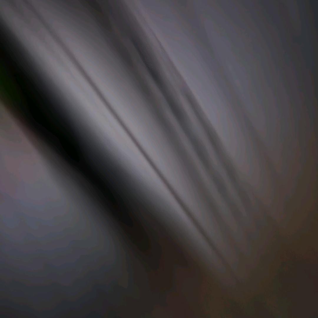 我的宝宝