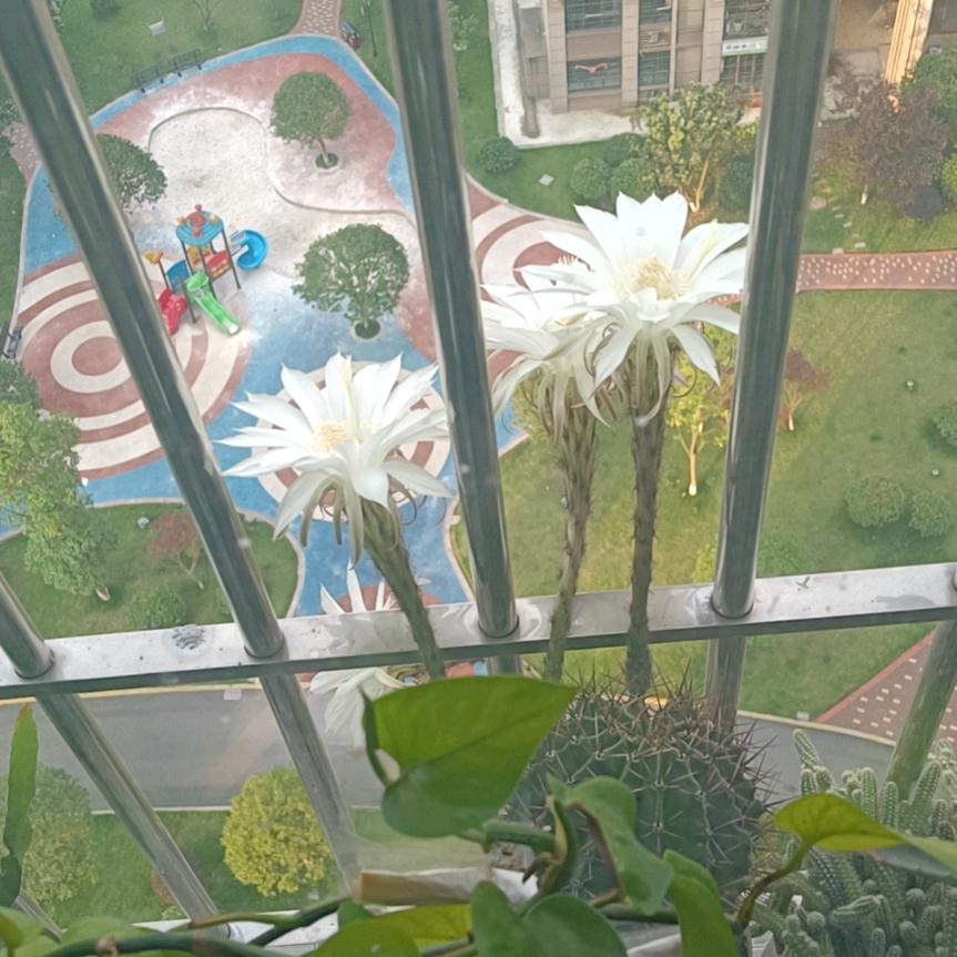 铸造哥