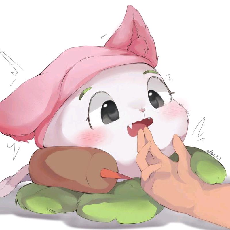 HL猪猪