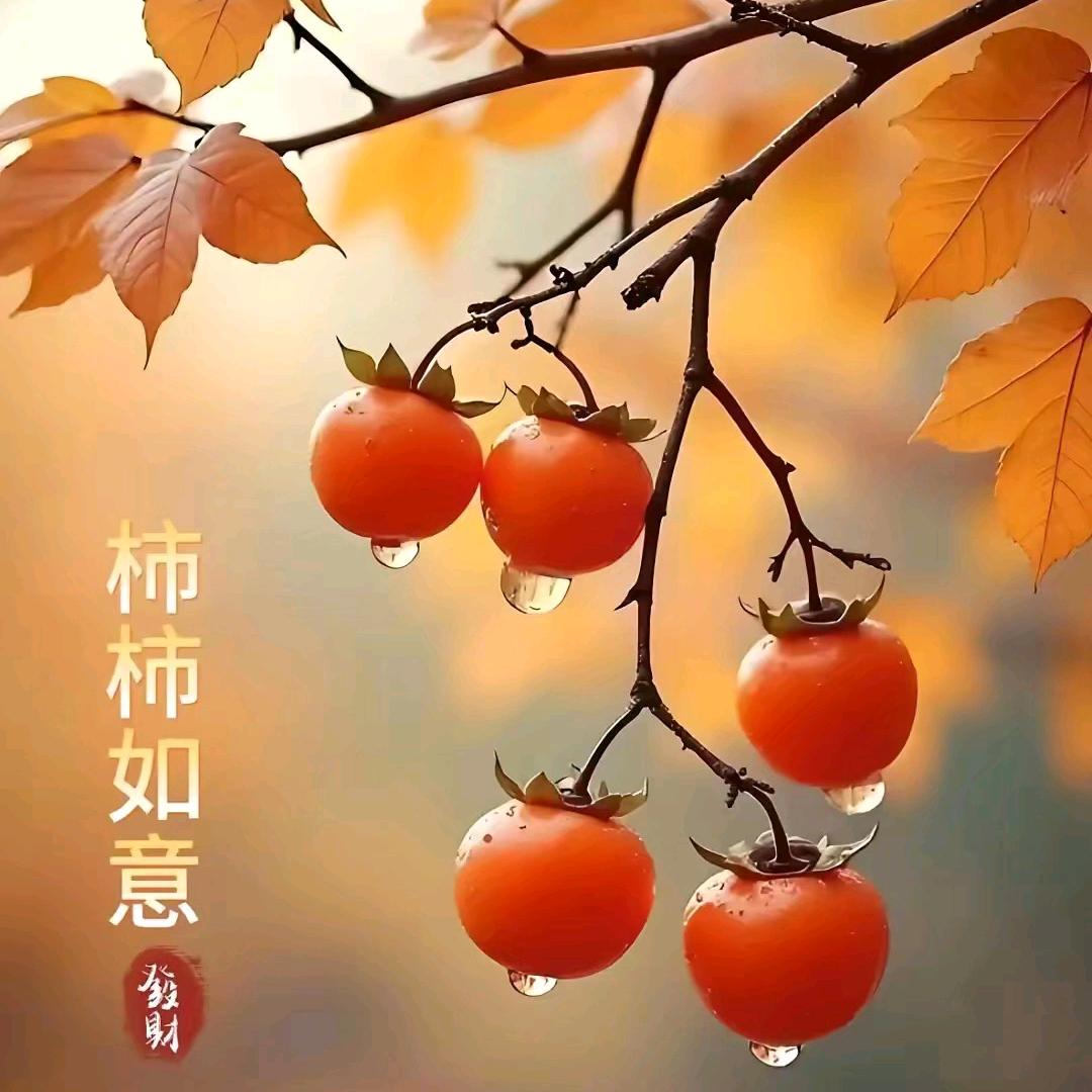 凉城听暖