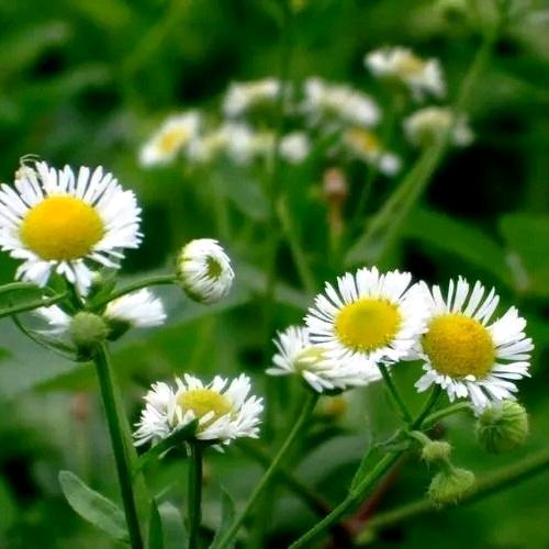 华豫长城电缆设备有限公司