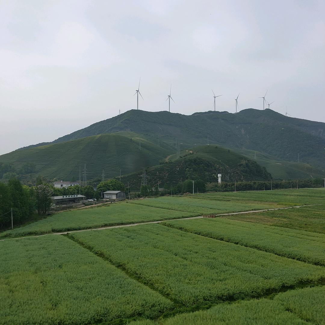 沉默是金吗