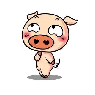 小雨嘻嘻😁