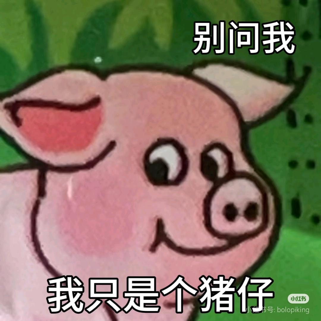 满山猴子我腚最红