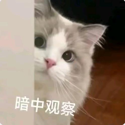 落落落落落落书🍃