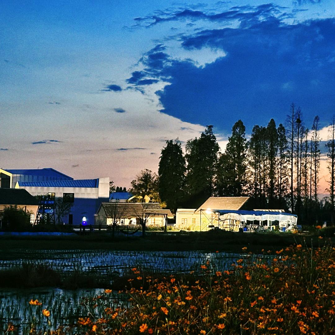 ☞小燕子☜🌾