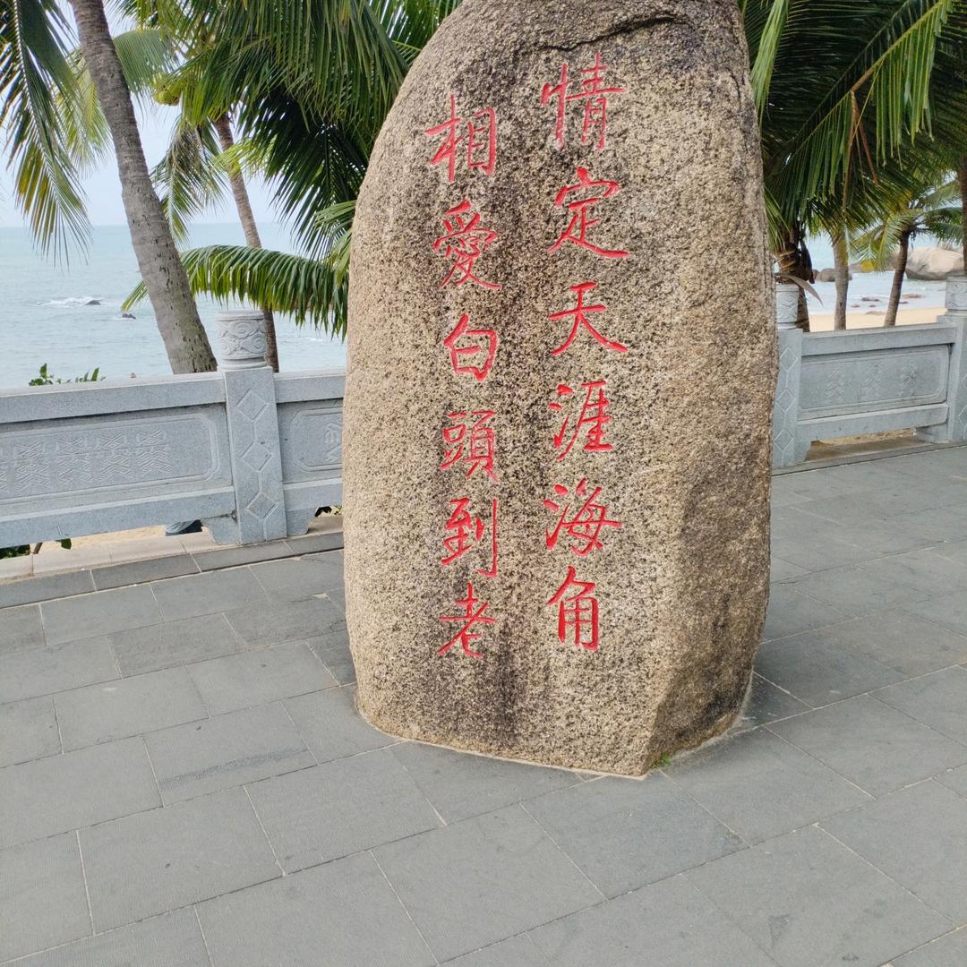 东北人单身在北海