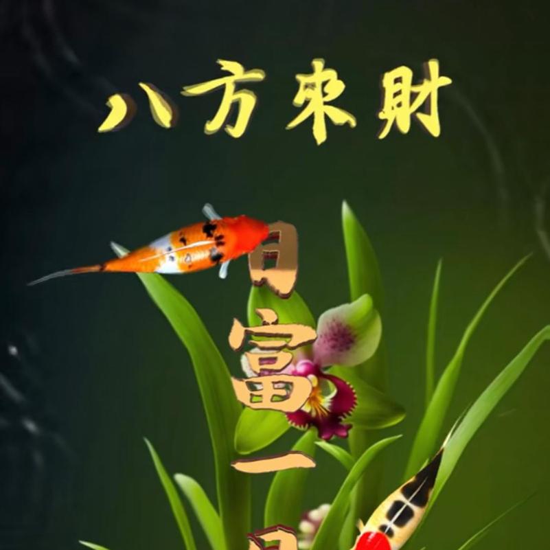 巴蜀景绣