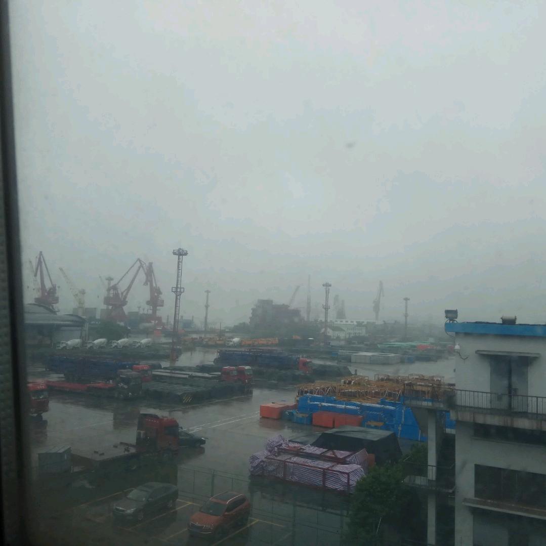 枫叶