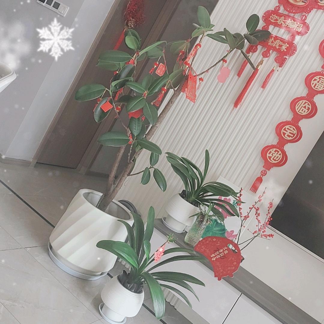 红太阳☀️☀️☀️☀️☀️