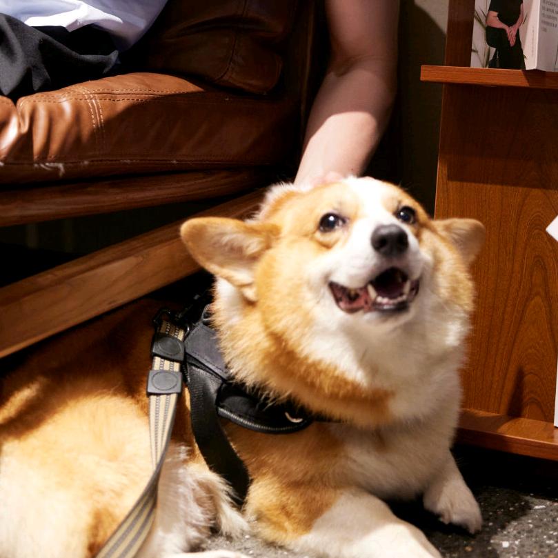 欲渔遇雨与鱼语郁