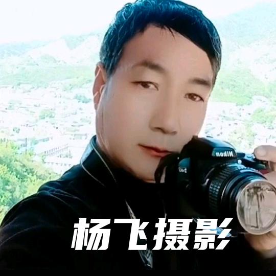 杨飞;摄影