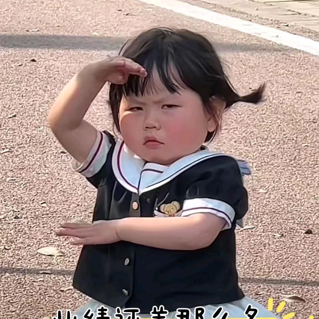 信鑫
