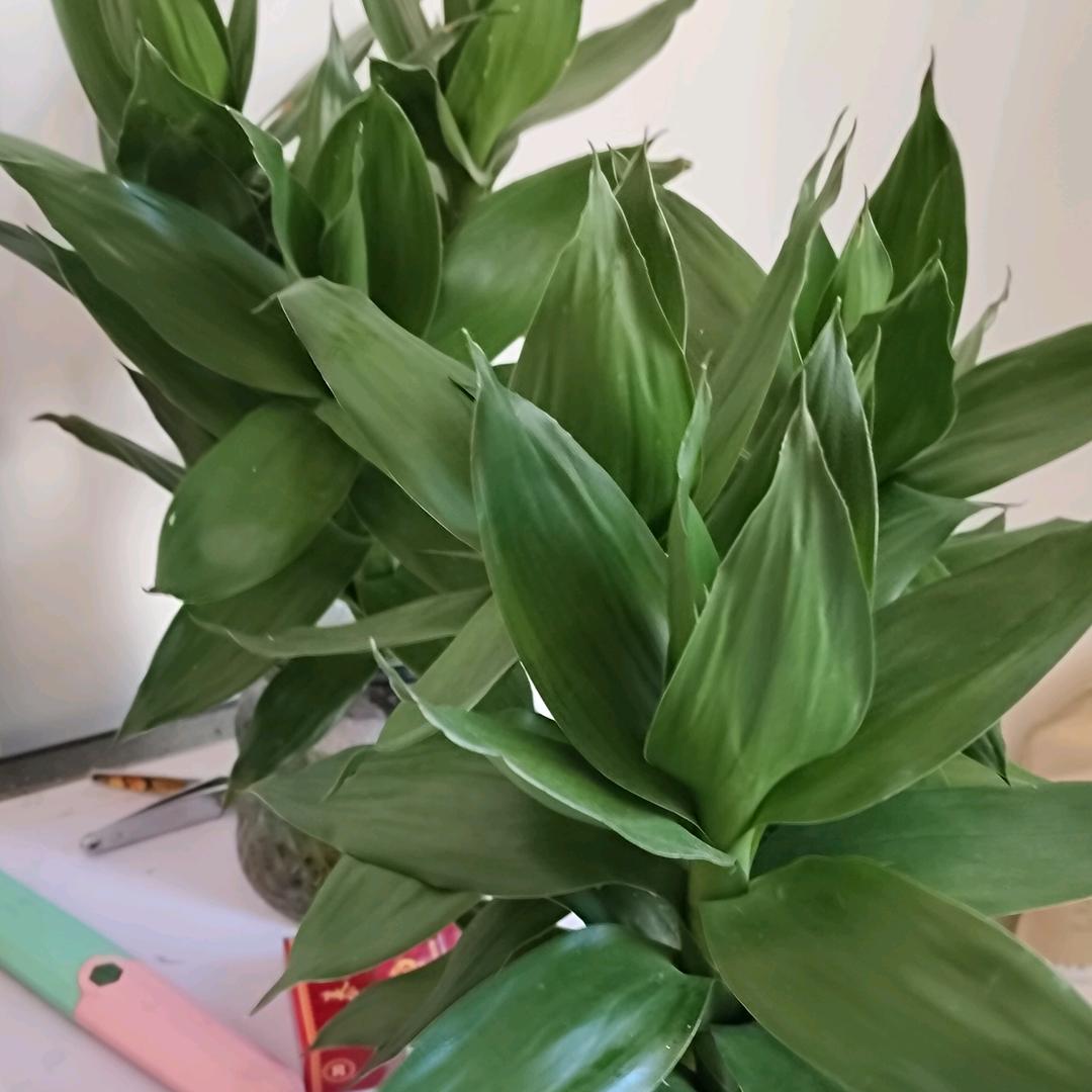 敏姐（拒绝私聊）（拒绝连赞）