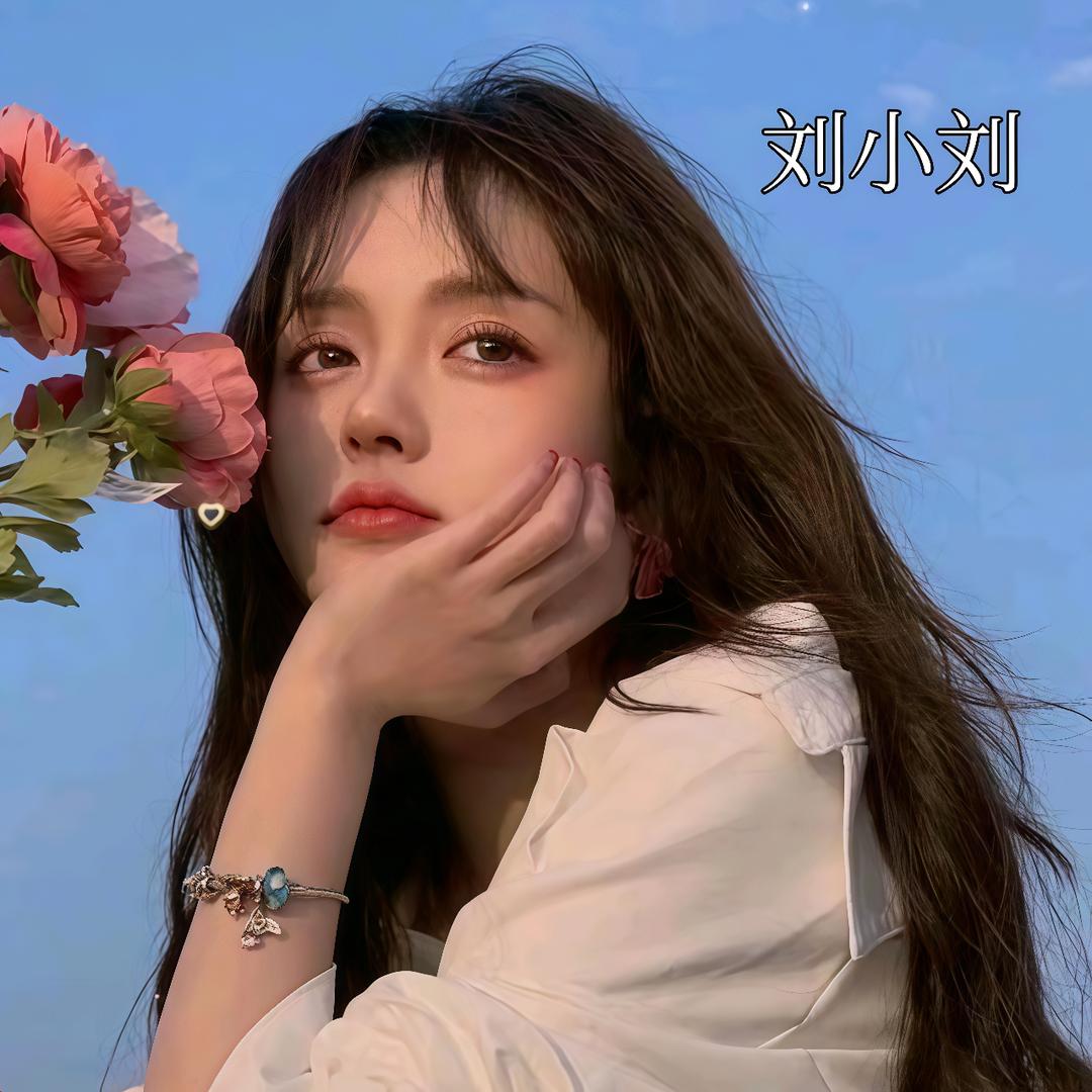 刘小刘