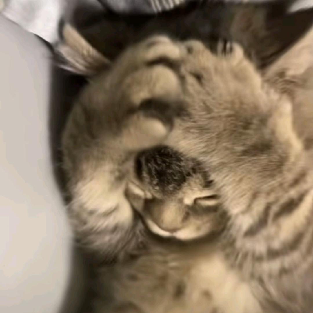 欺冬