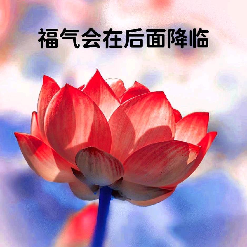 乡村老韩家