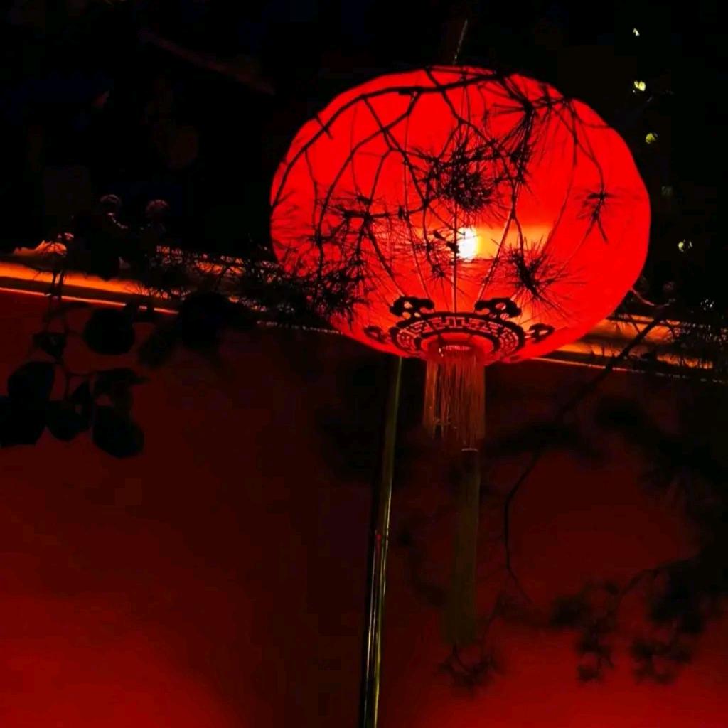 ꧁所幸꧂💕᭄ℒᎭℯ⃝⁵²ºꫛ࿐