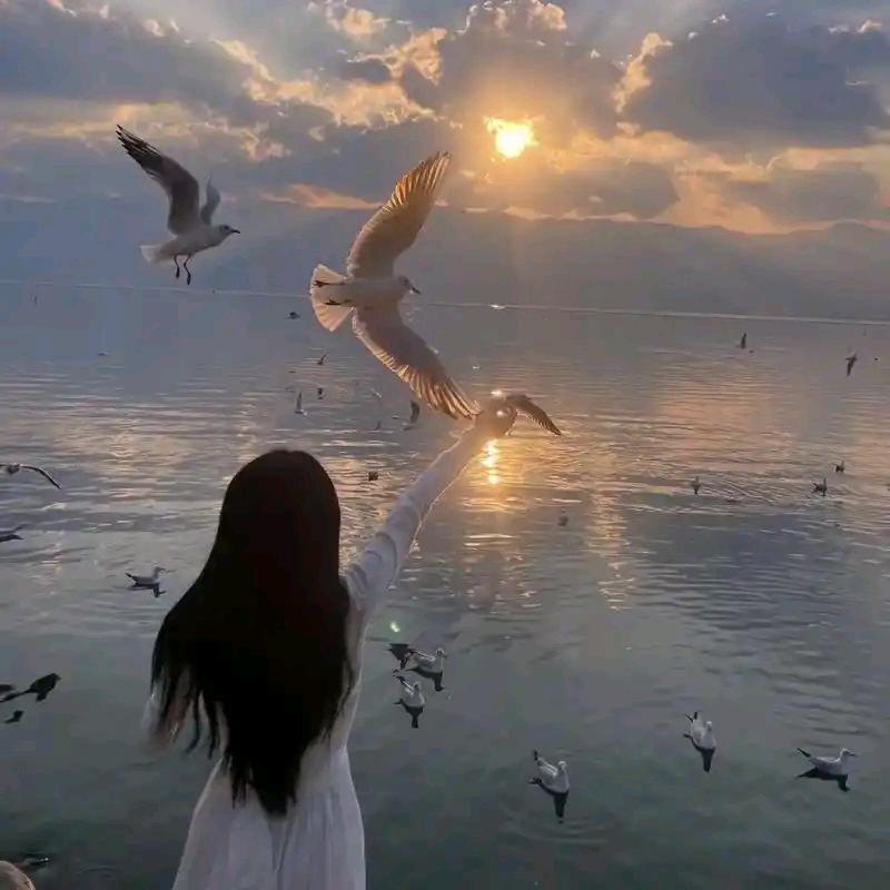 妙推-🍧雪糕不胖🍧