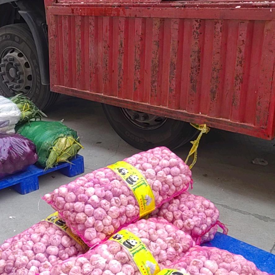 小金花
