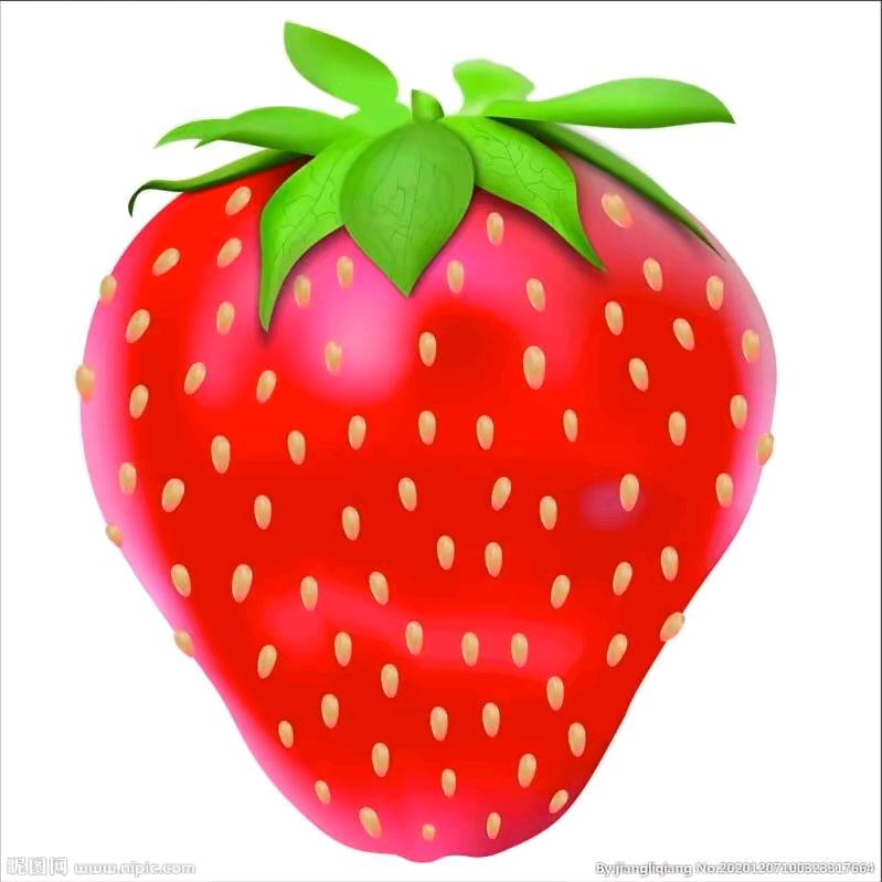 保民人力资源公司