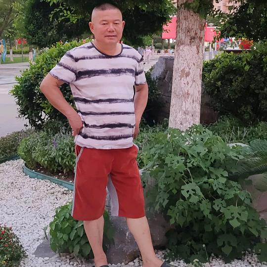 奋斗🐑